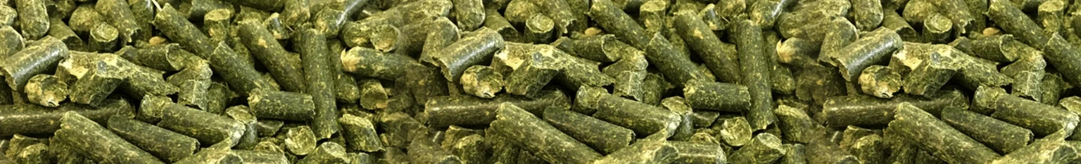 alfalfa pellet