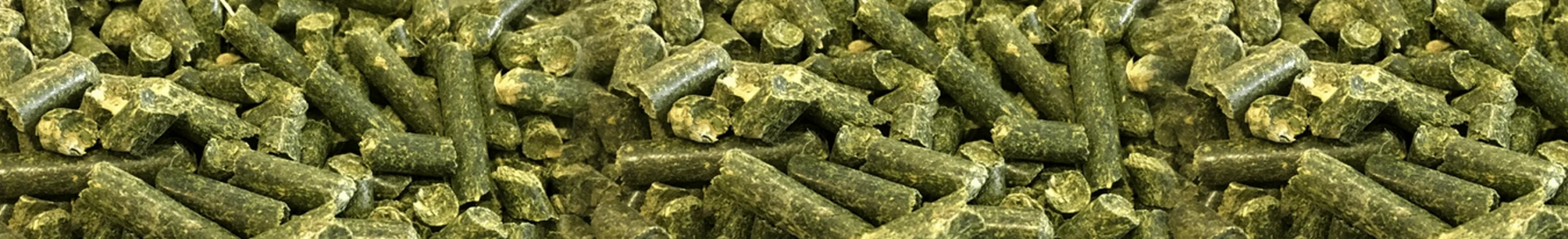 pellet de alfalfa precio