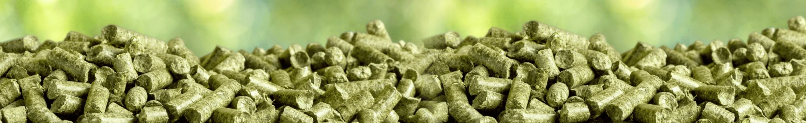 pellet de alfalfa para caballos